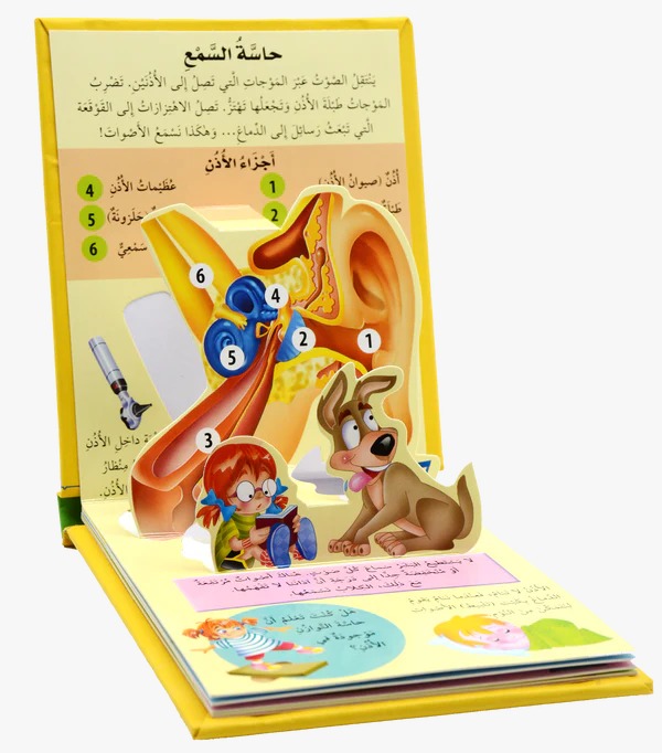 جسم الانسان الحواس الخمس