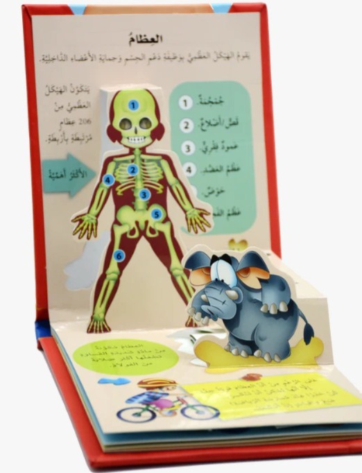 جسم الانسان العظام و العضلات